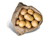 Zemiaky žlté skoré voľné 1 kg